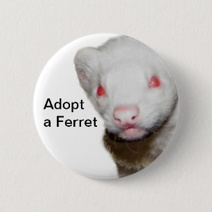 Badge Rond 5 Cm Photo Albino Ferret