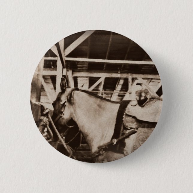 Badge Rond 5 Cm Photo Cheval d'apparence antique (Devant)