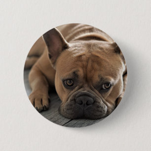 Badge Rond 5 Cm Photo de chien personnalisé