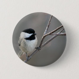 Badge Rond 5 Cm Photo de poulet à capuchon noir