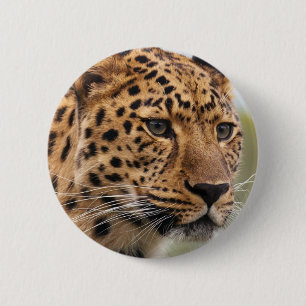 Badge Rond 5 Cm Photo léopard