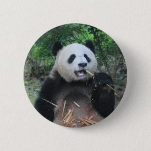 Badge Rond 5 Cm Photo Panda Géant