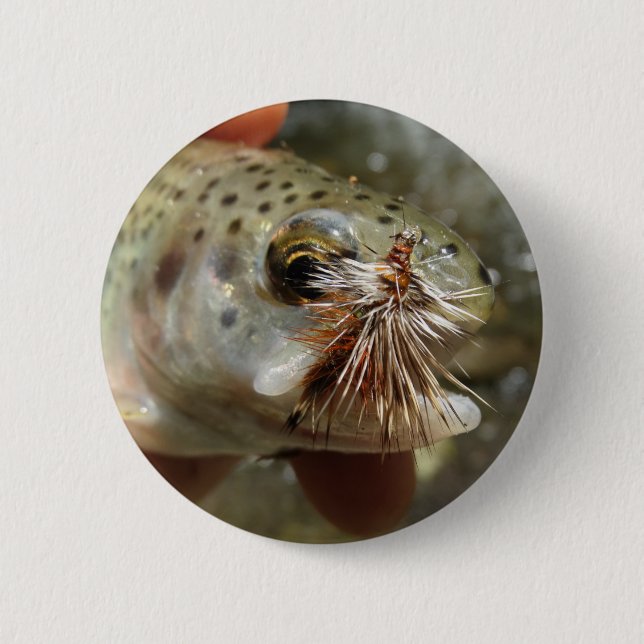 Badge Rond 5 Cm Photo Rainbow Trump (Devant)