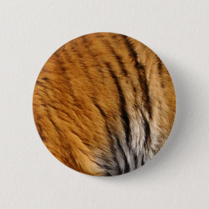 Badge Rond 5 Cm Photo Tiger Stripes Big Cat Wildlife