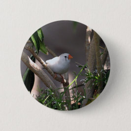Badge Rond 5 Cm Photo White Finch