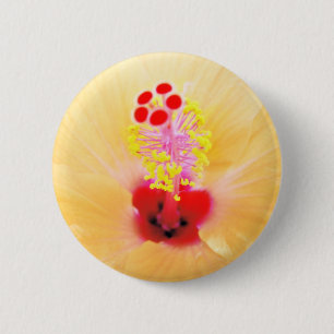 Badge Rond 5 Cm Photographie de fleur d'Hibiscus