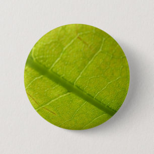 Badge Rond 5 Cm Photographie de la nature botanique de la feuille 