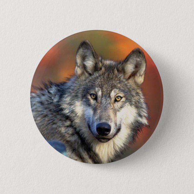 Badge Rond 5 Cm Photographie de loup (Devant)