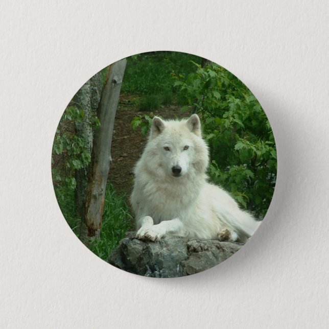 Badge Rond 5 Cm Pin arctique de loup (Devant)
