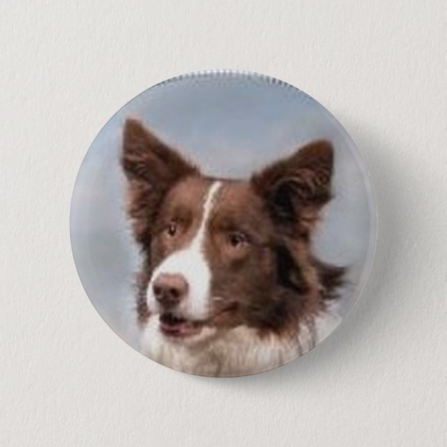 Badge Rond 5 Cm Pin de border collie (Devant)