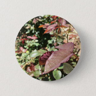 Badge Rond 5 Cm Pin de feuille