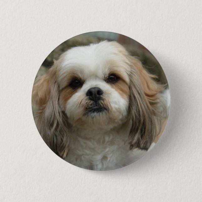 Badge Rond 5 Cm Pin de Furface (Devant)
