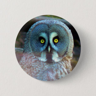 Badge Rond 5 Cm Pin de hibou