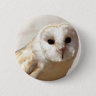 Badge Rond 5 Cm Pin de hibou de grange de Milou