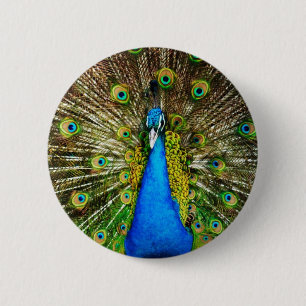 Badge Rond 5 Cm Pin de paon