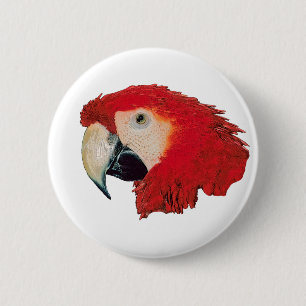 Badge Rond 5 Cm Pin d'insigne de perroquet d'ara
