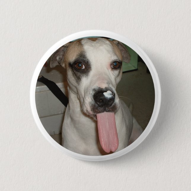 BADGE ROND 5 CM PIN DRÔLE DE CHIEN (Devant)