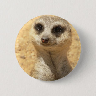 Badge Rond 5 Cm Pin rond curieux de Meerkat