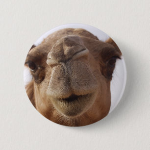 Badge Rond 5 Cm Pin rond de chameau