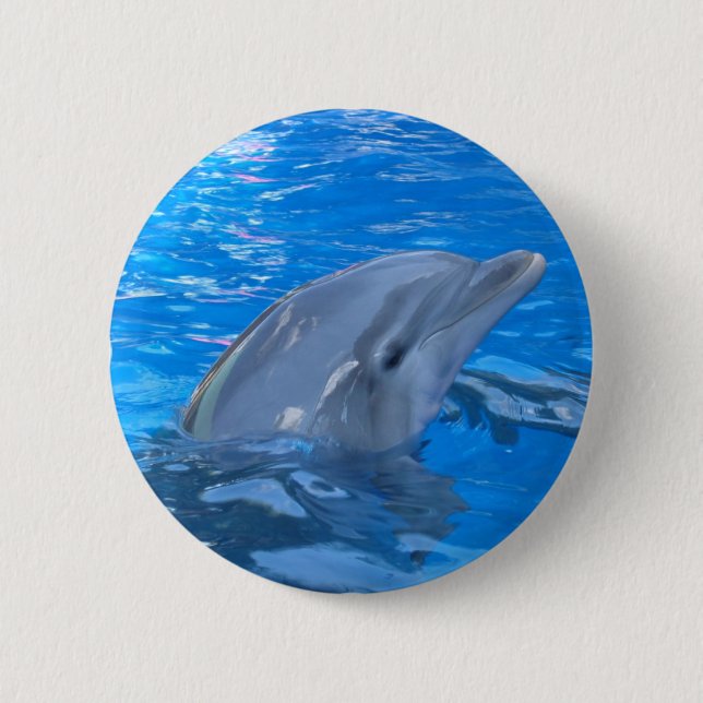 Badge Rond 5 Cm Pin rond de dauphin de Bottlenose (Devant)