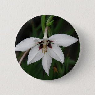 Badge Rond 5 Cm Pin rond de fleur d'orchidée