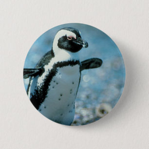 Badge Rond 5 Cm Pingouin mignon
