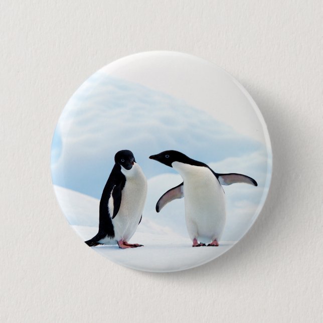 Badge Rond 5 Cm Pingouins d'Adelie (Devant)