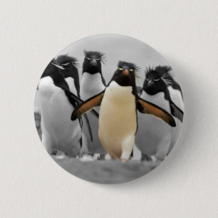 Badge Rond 5 Cm Pingouins de Rockhopper
