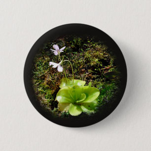 Badge Rond 5 Cm Pinguaire réticulée