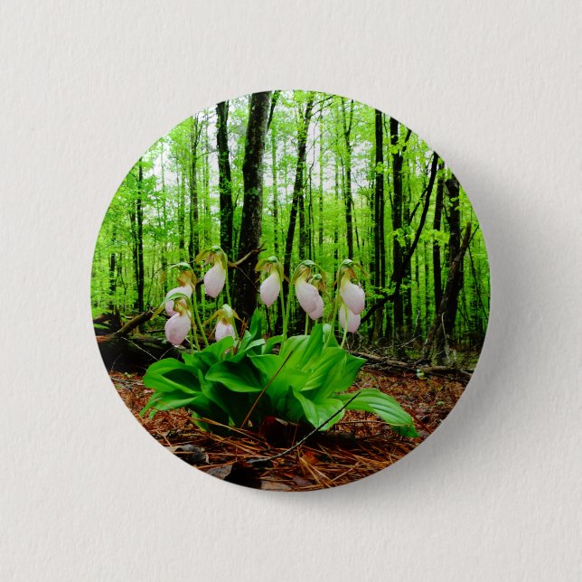 Badge Rond 5 Cm Pink Lady Slipper sauvage orchidée (Devant)