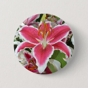 Badge Rond 5 Cm Pink stargazer lily flowers