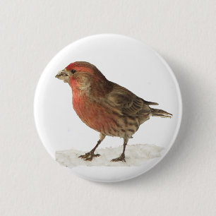 Badge Rond 5 Cm Pinson de Chambre
