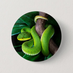 Badge Rond 5 Cm pitviper en bambou Rouge-coupé la queue