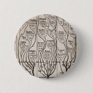 Badge Rond 5 Cm Plantae Protista Animalia
