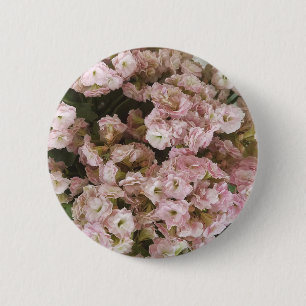Badge Rond 5 Cm Plante rose Kalanchoe