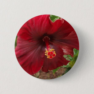 Badge Rond 5 Cm plante rouge de ketmie d'Hawaï