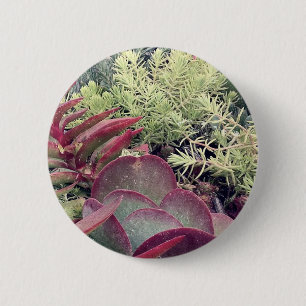 Badge Rond 5 Cm Plantes succulents