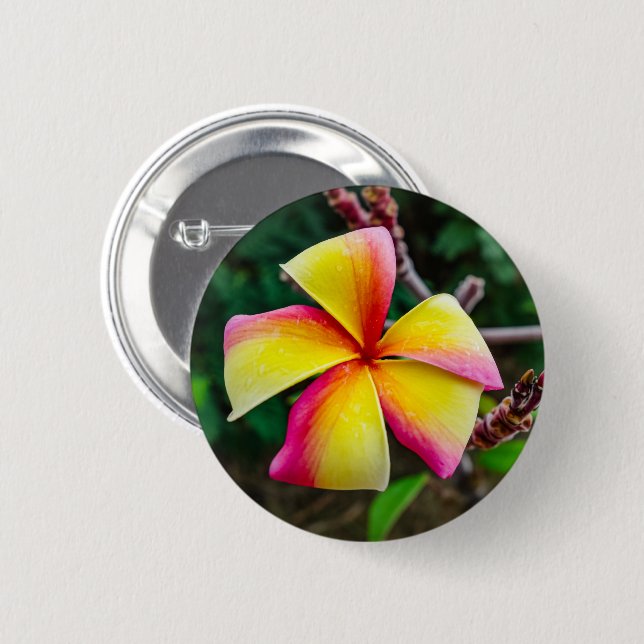 Badge Rond 5 Cm Plumeria rubra (Devant & derrière)