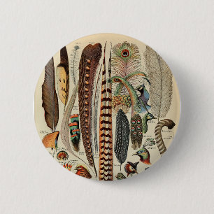 Badge Rond 5 Cm Plumes d'oiseau sauvage Antique Faune