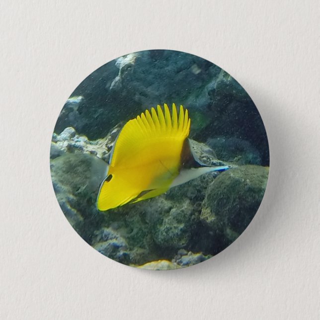 Badge Rond 5 Cm Poisson à papillon long nez (Devant)