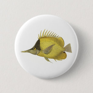 Badge Rond 5 Cm Poisson Chelmon Longirostris Tropical Jaune, Poiss