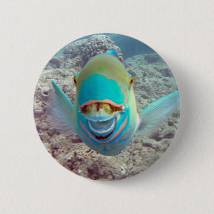 Badge Rond 5 Cm Poisson perroquet Hawaii