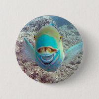 Poissons de perroquet d'Hawaï