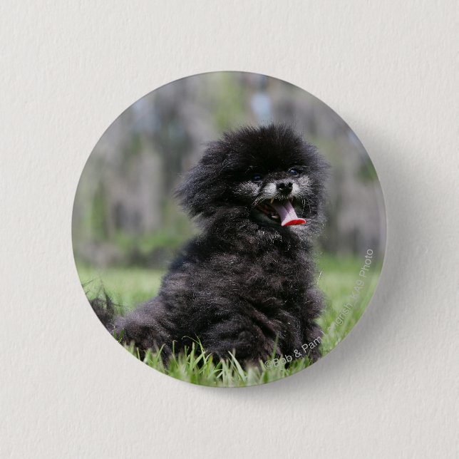 Badge Rond 5 Cm Pomeranian supérieur noir (Devant)