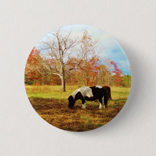 Badge Rond 5 Cm Poney miniature noir et blanc / Cheval (Devant)