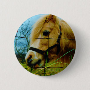 Badge Rond 5 Cm Pony miniature blond / Cheval Ciel bleu