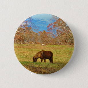 Badge Rond 5 Cm Pony miniature Brown