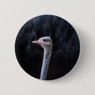 Badge Rond 5 Cm portrait d'autruche