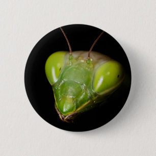 Badge Rond 5 Cm Portrait de mante en prière