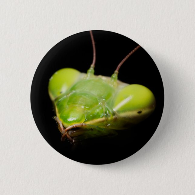 Badge Rond 5 Cm Portrait de mante en prière (Devant)